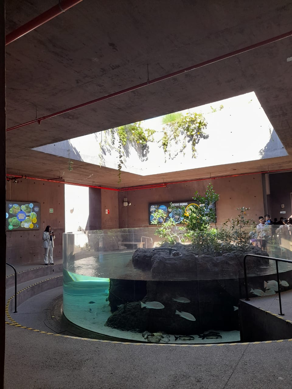 villa for rent
